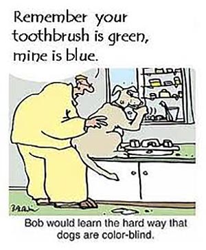 Go to www.carolesdoggieworld.com and learn How to brush your Dog's teeth.